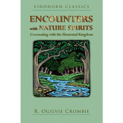 Afbeelding van Encounters with Nature Spirits: Co creating the Elemental Kingdom