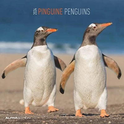 Afbeelding van Pinguine 2024 Broschürenkalender 30x30 cm (30x60 geöffnet)