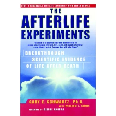 Afbeelding van The Afterlife Experiments: Breakthrough Scientific Evidence of Life After Death