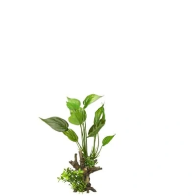 Afbeelding van Aqua Della Aquariumplanten (voeding) Vissen Florascape 7 S 14x11x31,5cm 1st
