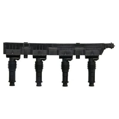 Afbeelding van Bobine DELPHI GN10204 12B1