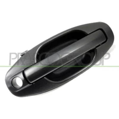 Afbeelding van Portiergreep buitenkant PRASCO HN8128001