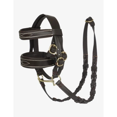Afbeelding van LeMieux Toy Pony Hunter Hoofdstel Bruinverkocht door Agradi