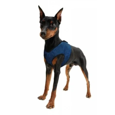 Afbeelding van Tuigje Aqua Coolkeeper Comfy Cool Blue XS 26 30 CM