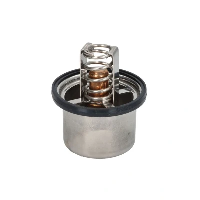 Afbeelding van Thermostaat, koelvloeistof DT SPARE PARTS 5.41096