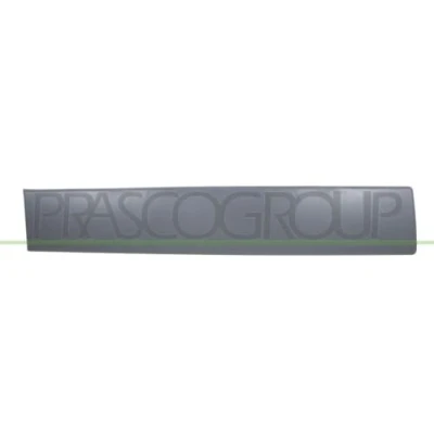 Afbeelding van Sier / beschermingspaneel, deur PRASCO DS9521453