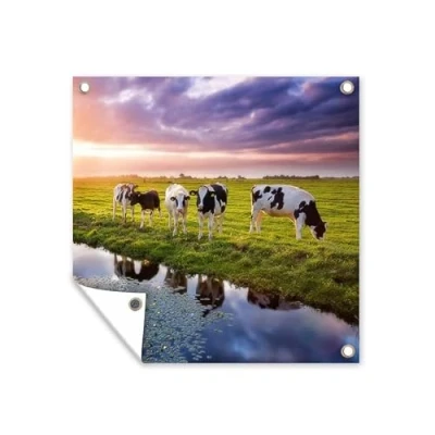 Afbeelding van Tuinposter 100x100 cm Koeien tijdens een zonsondergang