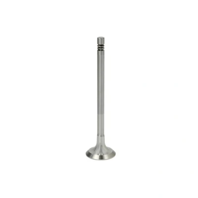 Afbeelding van Ae Uitlaatklep V95002