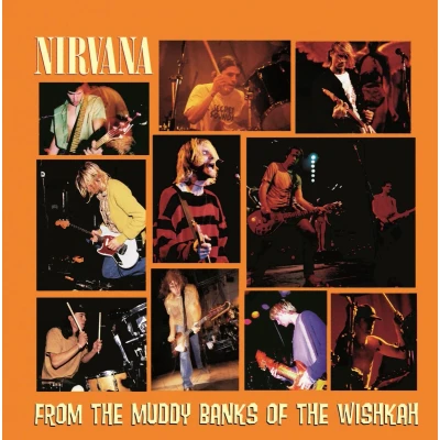 Afbeelding van Nirvana From The Muddy Banks Of T