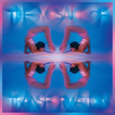 Afbeelding van Kaitlyn Aurelia Smith Mosaic Of Transformation