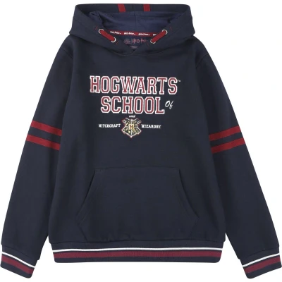 Afbeelding van Harry Potter Kids Hogwarts School Trui met capuchon meerkleurig 164