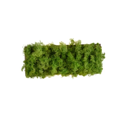 Afbeelding van Just Light Rechthoekige plafondlamp Green Carlo met mos 15637 66