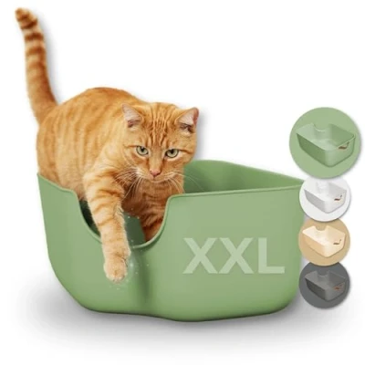 Afbeelding van PiuPet® Kattenbak Moderne voor katten Grote met hoge wanden Open groot kast Cat litter box kitten XL (Groen)