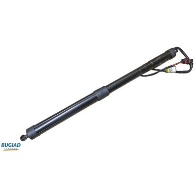 Afbeelding van Bugiad Gasveer BRD50719