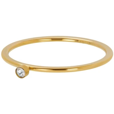 Afbeelding van Zirconia 1 stone crystal iXXXi Vulring mm Gold / 21