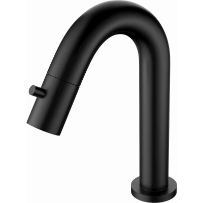 Afbeelding van Fonteinkraan Aquasplash Colorato 19.5 cm Mat Zwart