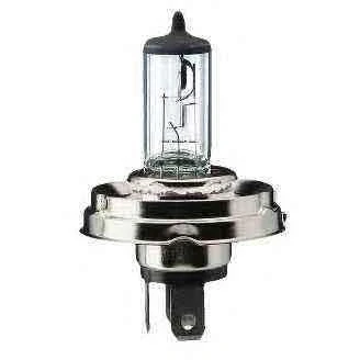 Afbeelding van Philips R2 Vision Halogeen lamp 12V P45t