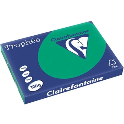 Afbeelding van 5x Clairefontaine Trophée Intens, gekleurd papier, A3, 120 g, 250 vel