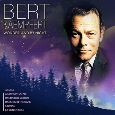 Afbeelding van Bert Kaempfert Wonderland By Night (LP)