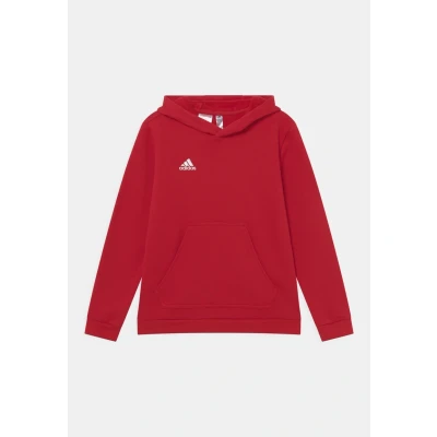 Afbeelding van adidas Performance Entrada 22 Hoodie, Maat: 128, Team power red