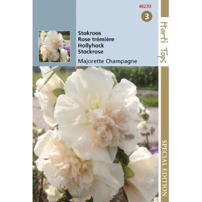 Afbeelding van Althaea (Alcea) Stokroos Majorette Champagne