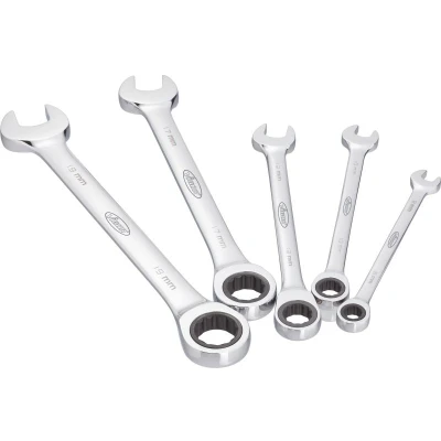Afbeelding van Vigor V2820 Steek ringsleutelratelset 5 delig 8 19 mm