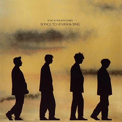 Afbeelding van Echo &amp; the Bunnymen Songs To Learn Sing (LP)
