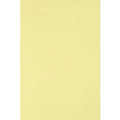 Afbeelding van Netuno 50 vellen knutselpapier lichtgeel A4 210x297mm 80g Circolor Camomile multifunctioneel origamipapier gekleurd gerecycled