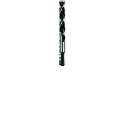 Afbeelding van Heller 23356 9 Hout spiraalboor 10 mm Gezamenlijke lengte 250 Cilinderschacht 1 stuk(s)