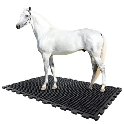 Afbeelding van etm Stalmat van rubber 100 x cm Stalvloer puzzelsysteem antislip en gewrichtsvriendelijk 20 mm dikte (Buffalo)