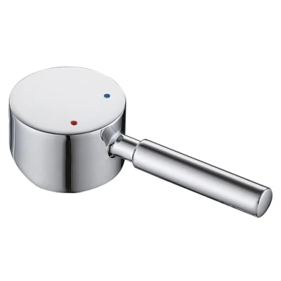 Afbeelding van RXXR Kraanhendel voor enkele handgreep kraan met patroonsteel 9 x mm universele vervangende metalen hendel, chroom