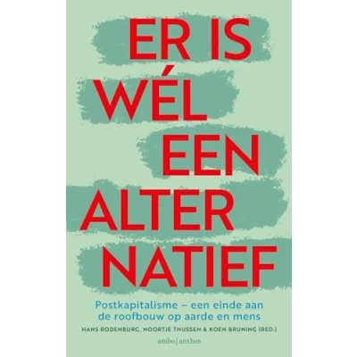 Afbeelding van Er is wél een alternatief (Paperback)