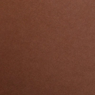 Afbeelding van Clairefontaine 97361C verpakking met 25 vellen tekenpapier Maya, DIN A4, 21 x 29,7 cm, 120 g, glad, ideaal voor droogtechniek en inlijsting), donkerbruin