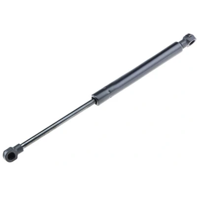 Afbeelding van Gasveer, motorkap NTY AE BM 033