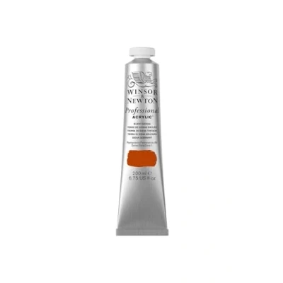Afbeelding van Winsor &amp; Newton 2337074 Professionele acrylverf, hoge dekking, kunstenaarskwaliteit, lichtecht 200ml Tube, Burnt Sienna