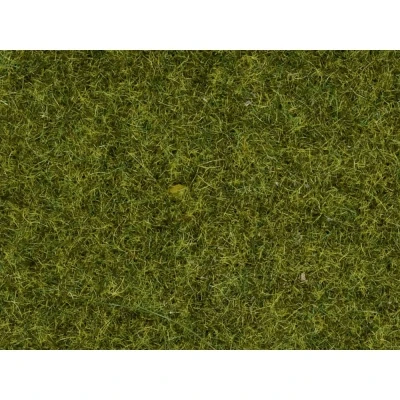 Afbeelding van NOCH 07117 Wildgras Beige, Bruin