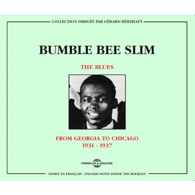 Afbeelding van Bumble Bee Slim The Blues: From Georgia to Chicago 1931 1937 (2 CD)