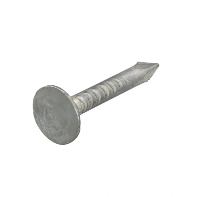 Afbeelding van Proftec asfaltnagels 3.0x15mm verzinkt staal platkop DIN 1160 (Per 1 kg)