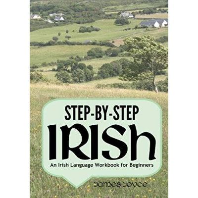 Afbeelding van Step by Irish: An Irish Language Workbook for Beginners