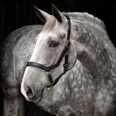 Afbeelding van Rambo Micklem Halster Zwart Pony