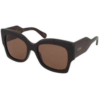 Afbeelding van Chloé Donna CH0252S 002 Occhiali da sole Acetato Havana Marrone Farfalla