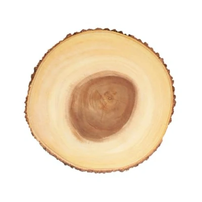 Afbeelding van Artesà Rustieke Houten Boomstam Serveerplank/Kaasplank met Schorsrand 32,5 x 2,3 cm
