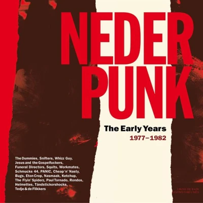 Afbeelding van V/A Nederpunk the Early Years 1977 1982 (LP)