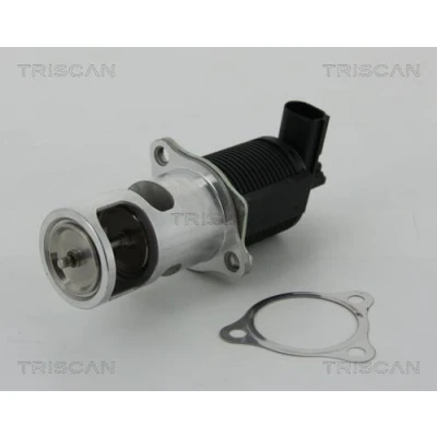 Afbeelding van Triscan EGR klep 8813 25038