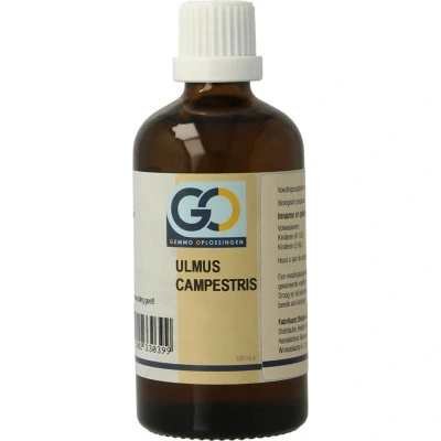 Afbeelding van Go Ulmus Campestris Bio, 100 ml
