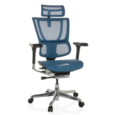 Afbeelding van ERGOHUMAN SLIM I net Luxe directiestoel Blauw