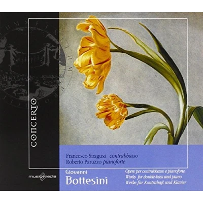 Afbeelding van Works For Double Bass And Piano Vol. 1