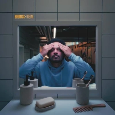 Afbeelding van Birdmask Tristan (LP)