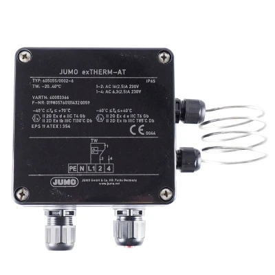 Afbeelding van Jumo 60003366 Temperatuurbewaker