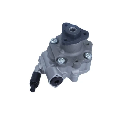 Afbeelding van Maxgear Servopomp 48 0174